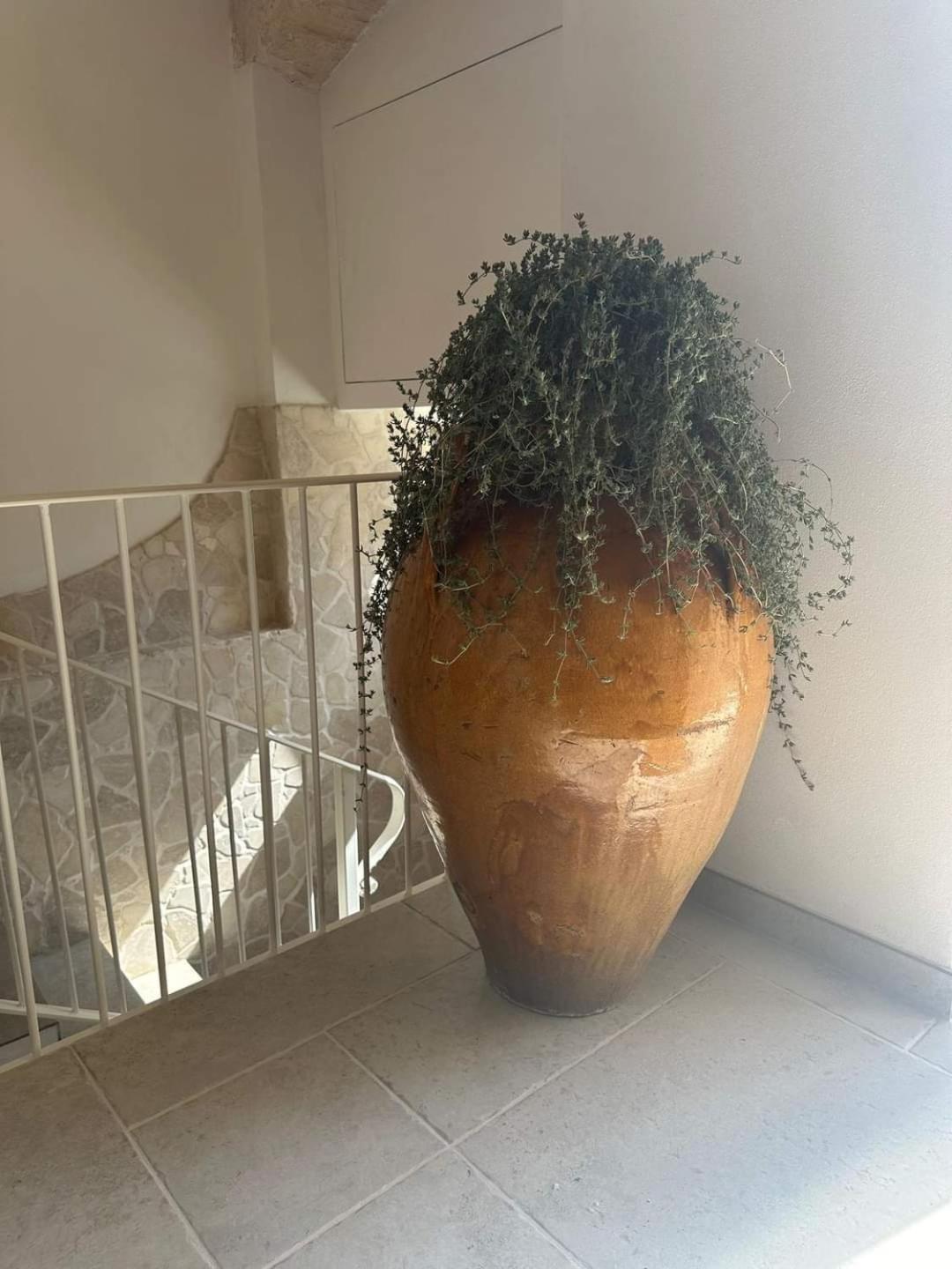 מרטינה פרנקה Un Giorno Bellissimo Suite & Spa מראה חיצוני תמונה